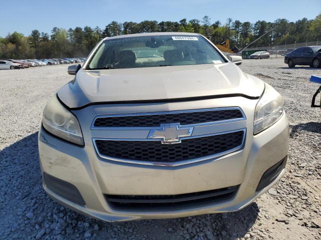 1G11C5SA1DF213176 - 2013 CHEVROLET MALIBU 1LT 米色 照片 5