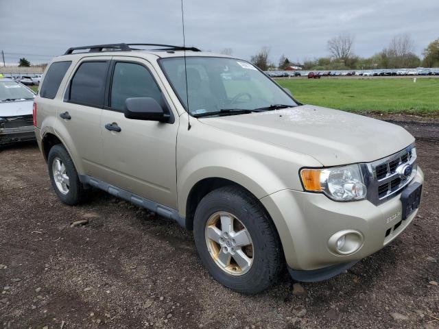 1FMCU0D73BKA26300 - 2011 FORD ESCAPE XLT BEIGE photo 4