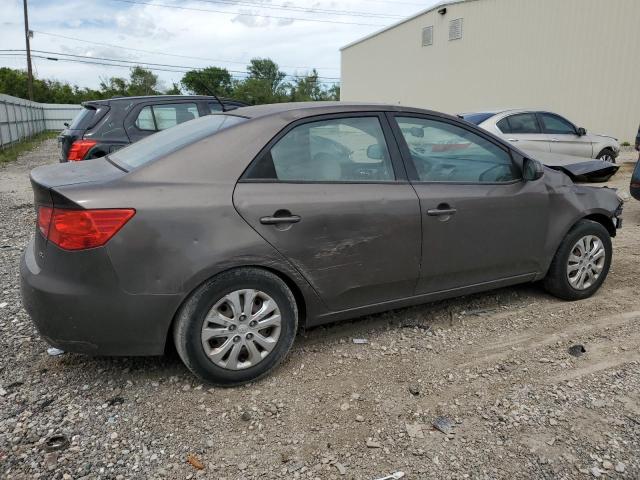 KNAFU4A25D5726741 - 2013 KIA FORTE EX BROWN photo 3