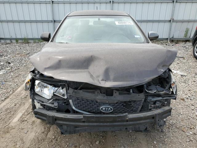 KNAFU4A25D5726741 - 2013 KIA FORTE EX BROWN photo 5