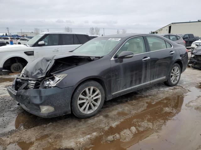 2010 LEXUS ES 350, 