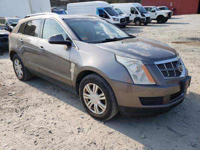 3GYFNDEY4BS547067 - 2011 CADILLAC SRX LUXURY COLLECTION TAN photo 4