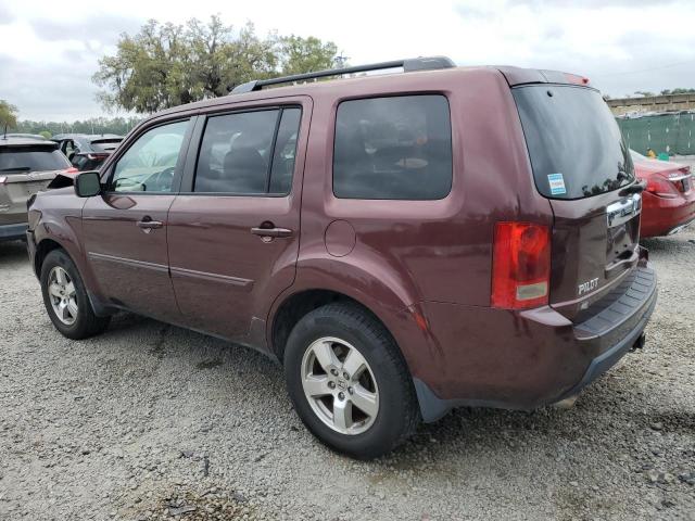 5FNYF3H49BB025316 - 2011 HONDA PILOT EX BURGUNDY photo 2