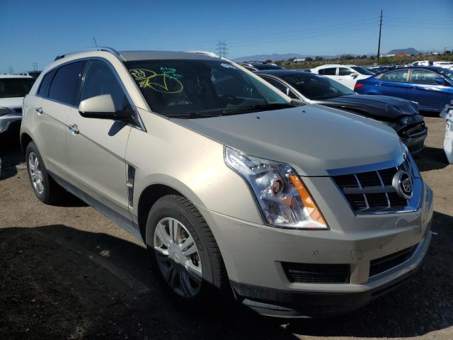 3GYFNAEY9BS581360 - 2011 CADILLAC SRX LUXURY COLLECTION TAN photo 4