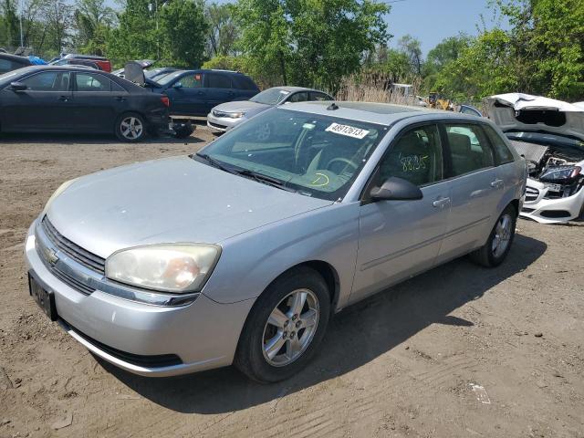 1G1ZT64875F330149 - 2005 CHEVROLET MALIBU MAXX LS SILVER photo 1