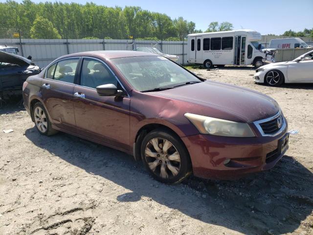 1HGCP36848A076674 - 2008 HONDA ACCORD EXL BURGUNDY photo 4