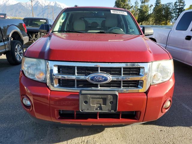 1FMCU0DG8BKA44467 - 2011 FORD ESCAPE XLT RED photo 5