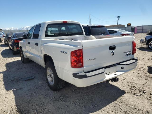 1D3HW38K89S783537 - 2009 DODGE DAKOTA SXT WHITE photo 2