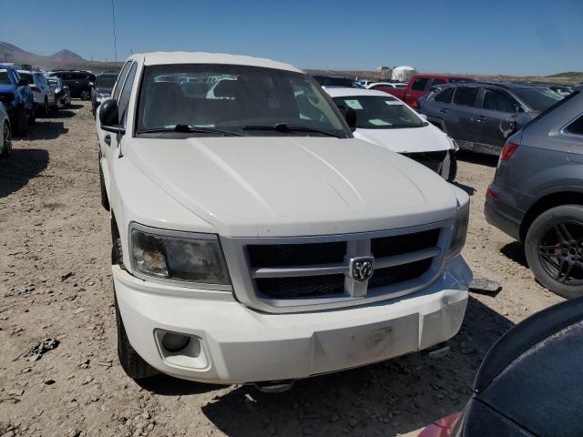 1D3HW38K89S783537 - 2009 DODGE DAKOTA SXT WHITE photo 5