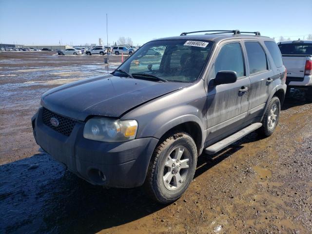 2006 FORD ESCAPE XLT, 