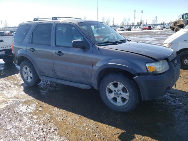 1FMYU03156KC61497 - 2006 FORD ESCAPE XLT GRAY photo 4