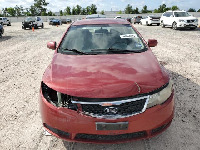 KNAFU4A25C5551907 - 2012 KIA FORTE EX RED photo 5