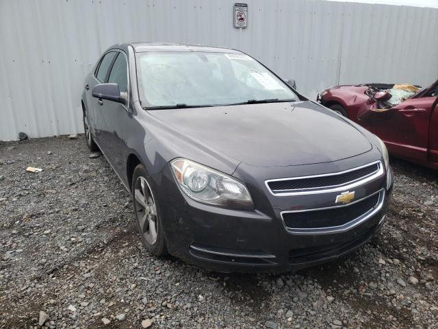1G1ZC5E13BF123068 - 2011 CHEVROLET MALIBU 1LT ნაცრისფერი ფოტო 1
