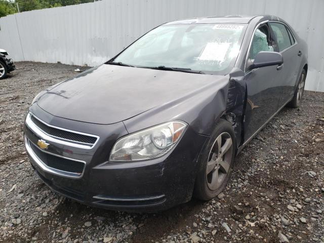 1G1ZC5E13BF123068 - 2011 CHEVROLET MALIBU 1LT ნაცრისფერი ფოტო 2