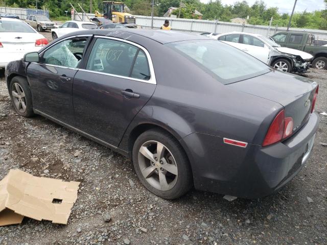 1G1ZC5E13BF123068 - 2011 CHEVROLET MALIBU 1LT ნაცრისფერი ფოტო 3