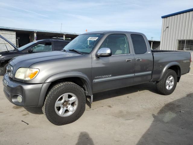 5TBRT34195S465036 - 2005 TOYOTA TUNDRA ACCESS CAB SR5 GRAY photo 1