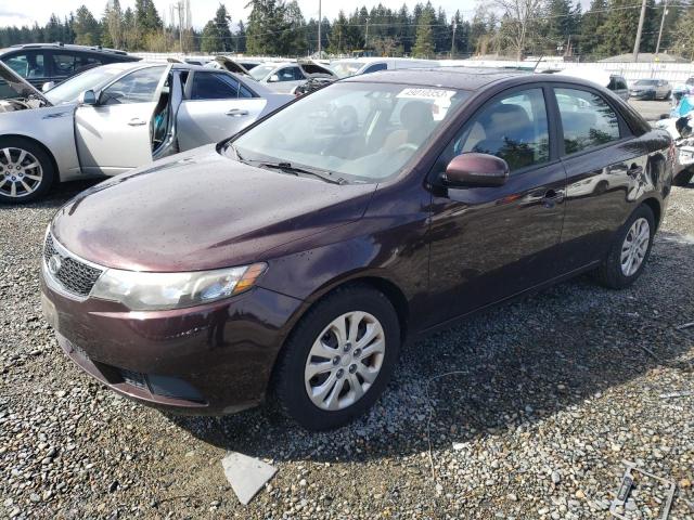 KNAFU4A20B5365125 - 2011 KIA FORTE EX PURPLE photo 1