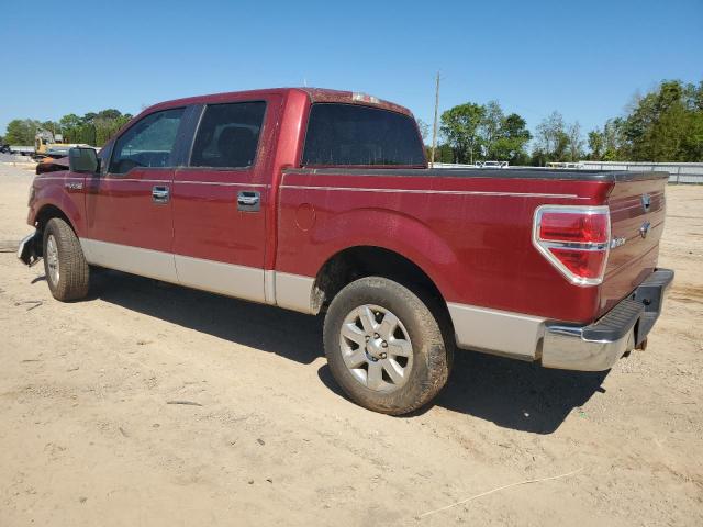 1FTFW1CF9DKD34178 - 2013 FORD F150 SUPERCREW RED photo 2