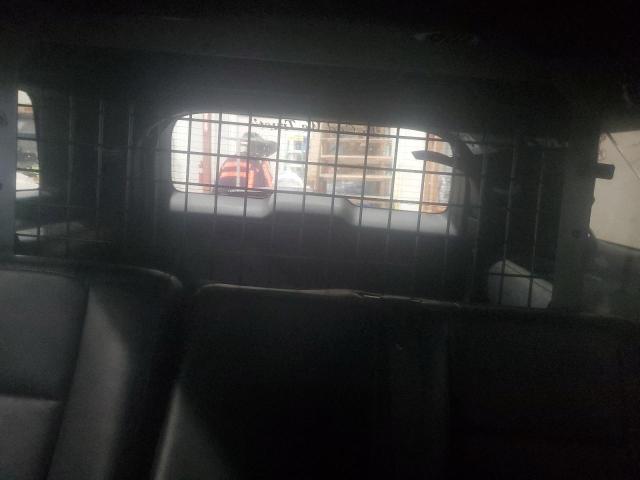 1FM5K8AR9GGB81611 - 2016 FORD EXPLORER POLICE INTERCEPTOR 白色 照片 10