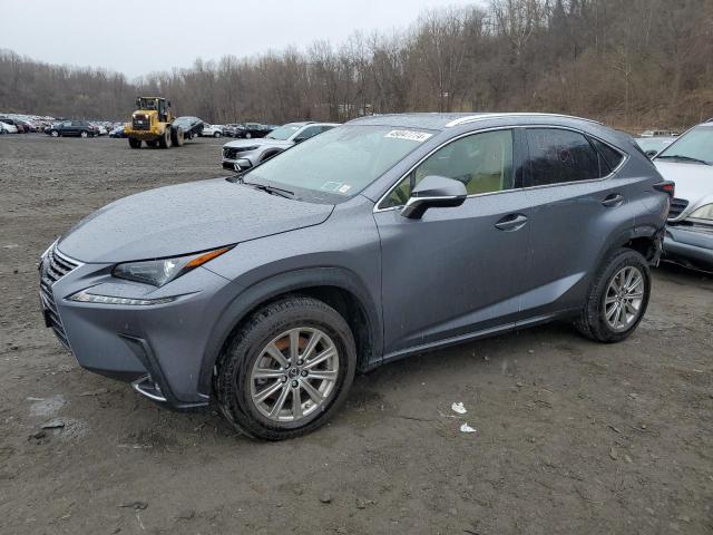 JTJDARDZ3M2263537 - 2021 LEXUS NX 300 BASE Boz foto 1
