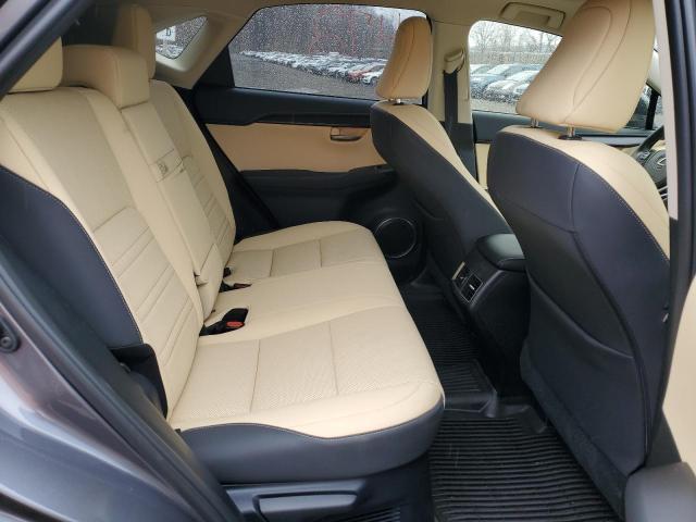 JTJDARDZ3M2263537 - 2021 LEXUS NX 300 BASE Boz foto 10