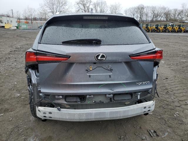 JTJDARDZ3M2263537 - 2021 LEXUS NX 300 BASE Boz foto 6