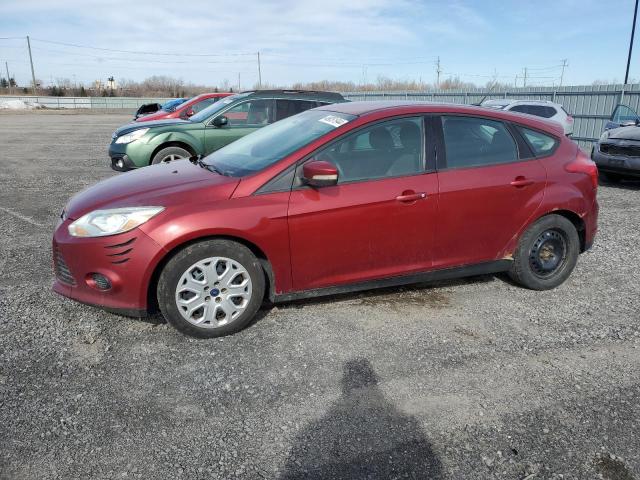 1FADP3K20DL101255 - 2013 FORD FOCUS SE RED photo 1