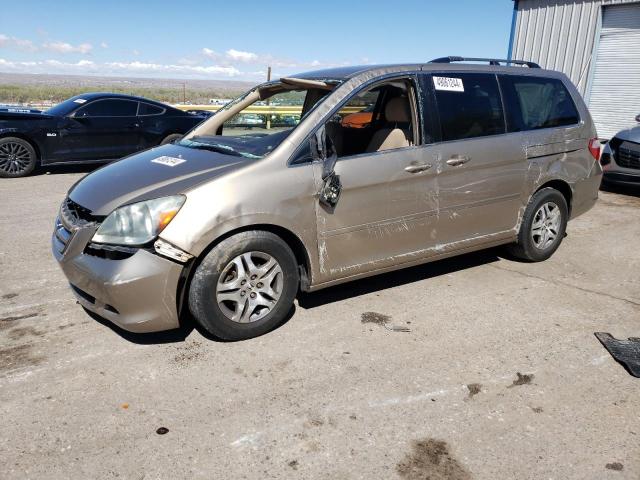 5FNRL38446B459131 - 2006 HONDA ODYSSEY EX GOLD photo 1