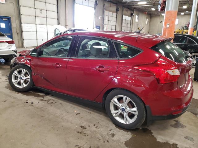 1FADP3K26DL177465 - 2013 FORD FOCUS SE RED photo 2