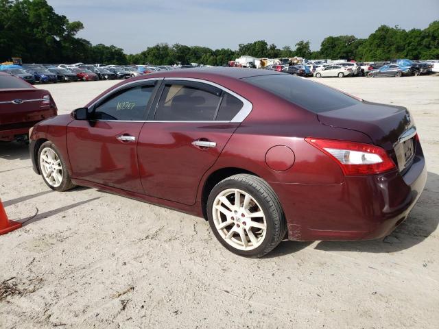 1N4AA51E39C862039 - 2009 NISSAN MAXIMA S RED photo 2