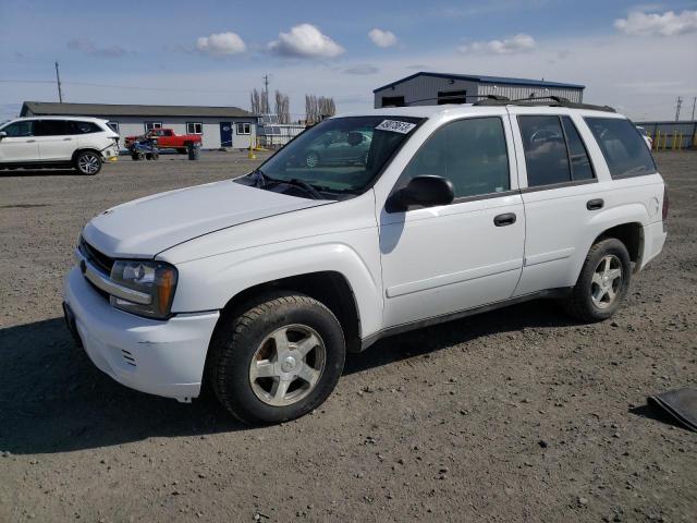 1GNDT13S662108882 - 2006 CHEVROLET TRAILBLAZE LS WHITE photo 1