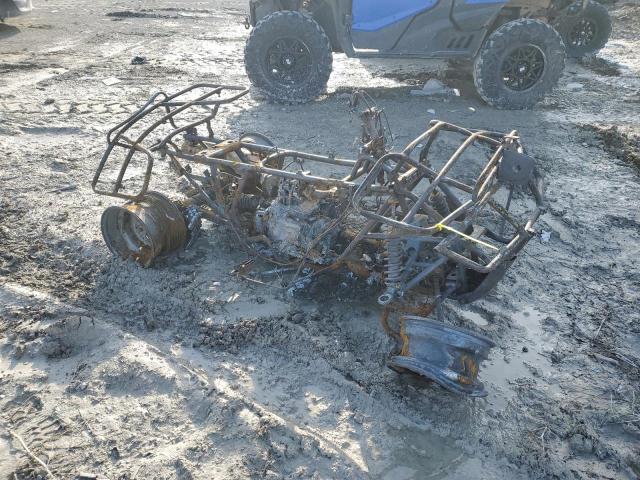 478TE290X44019093 - 2004 HONDA TRX400 FA BURN photo 1