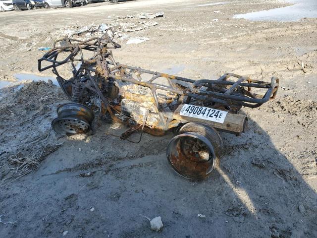 478TE290X44019093 - 2004 HONDA TRX400 FA BURN photo 3