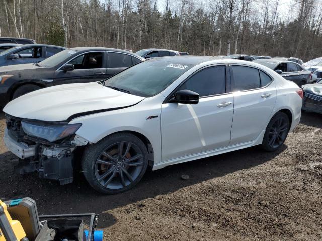 19UUB3F86KA801203 - 2019 ACURA TLX ADVANCE WHITE photo 1