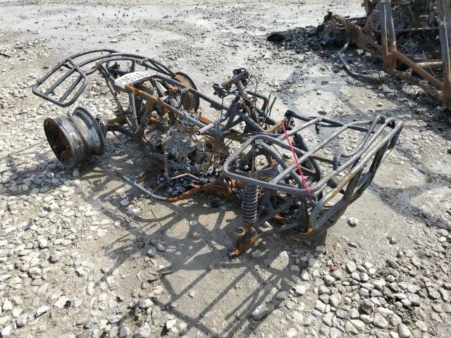 478TE24422A205672 - 2002 HONDA TRX350 TE BURN photo 1