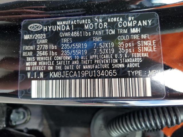 KM8JECA19PU134065 - 2023 HYUNDAI TUCSON LIMITED BLACK photo 13