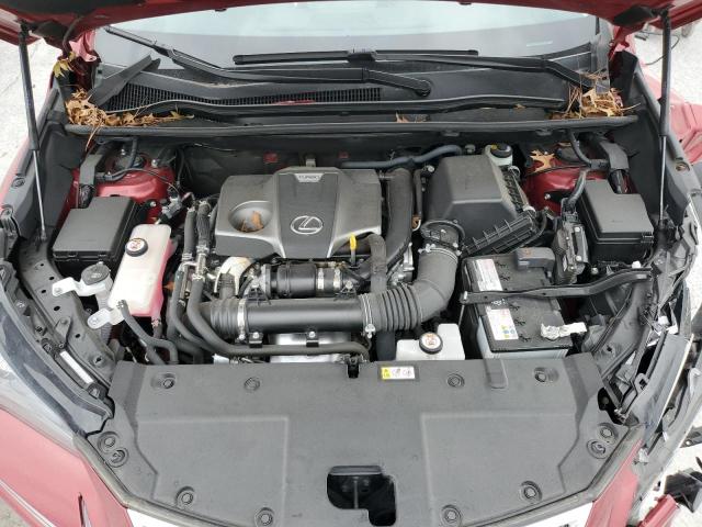 JTJGARBZ4M5024982 - 2021 LEXUS NX 300 BASE 红色 照片 12