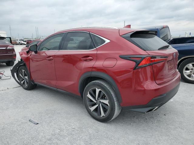 JTJGARBZ4M5024982 - 2021 LEXUS NX 300 BASE 红色 照片 2