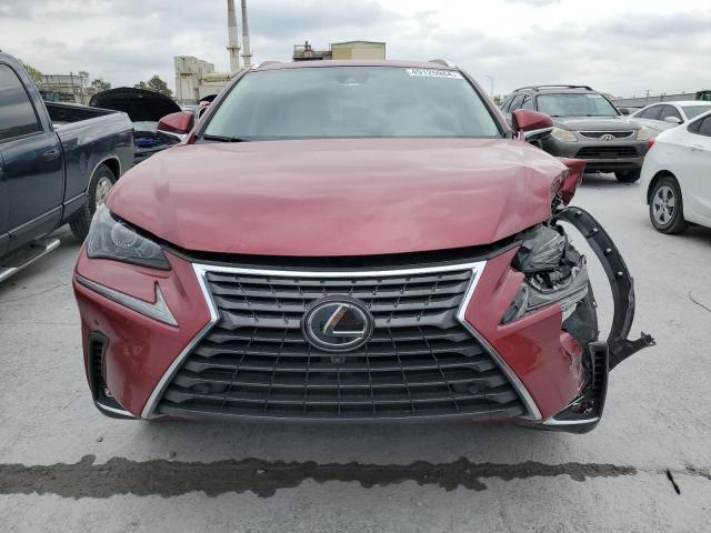 JTJGARBZ4M5024982 - 2021 LEXUS NX 300 BASE 红色 照片 5