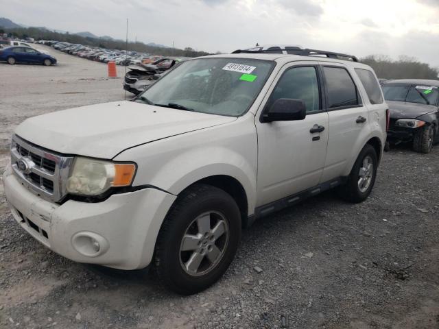 1FMCU0D73BKB37185 - 2011 FORD ESCAPE XLT WHITE photo 1