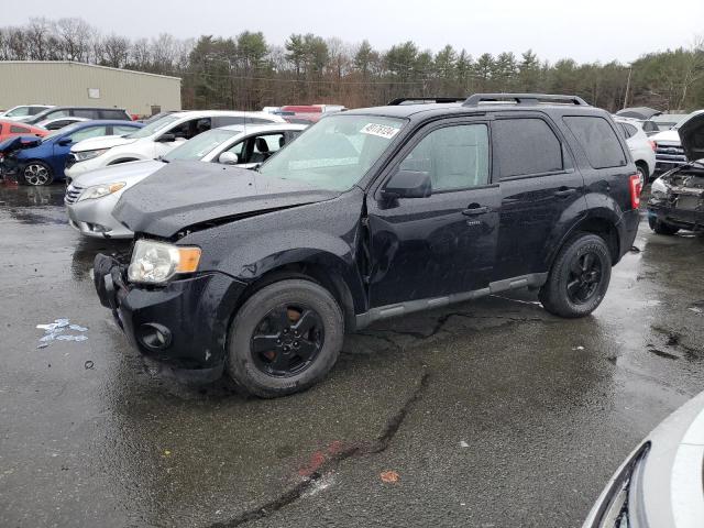 2010 FORD ESCAPE XLT, 