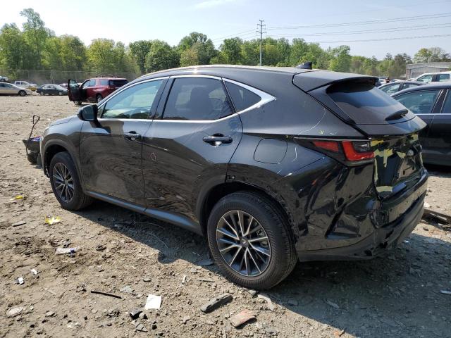 2T2GGCEZ7PC017702 - 2023 LEXUS NX 350 BLACK photo 2