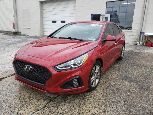 5NPE34AF8KH784036 - 2019 HYUNDAI SONATA LIMITED RED photo 2