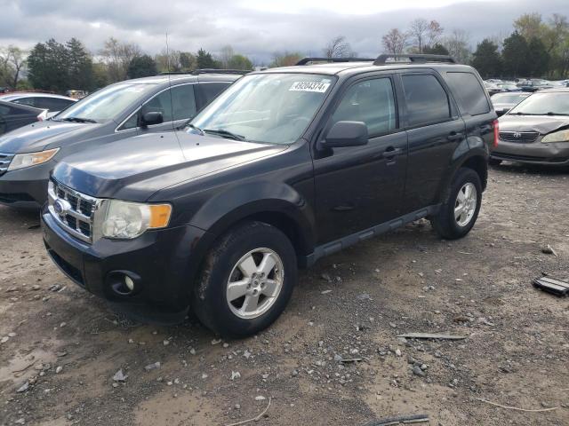 2011 FORD ESCAPE XLT, 