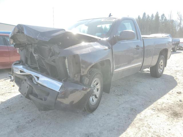 1GCEK14J49Z125665 - 2009 CHEVROLET SILVERADO K1500 PURPLE photo 1