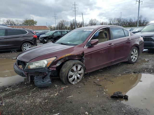 1HGCP26898A004752 - 2008 HONDA ACCORD EXL BURGUNDY photo 1