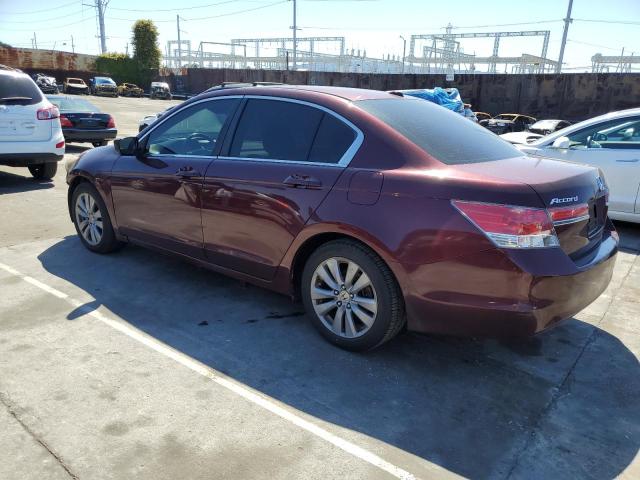 1HGCP2F85BA095560 - 2011 HONDA ACCORD EXL BURGUNDY photo 2