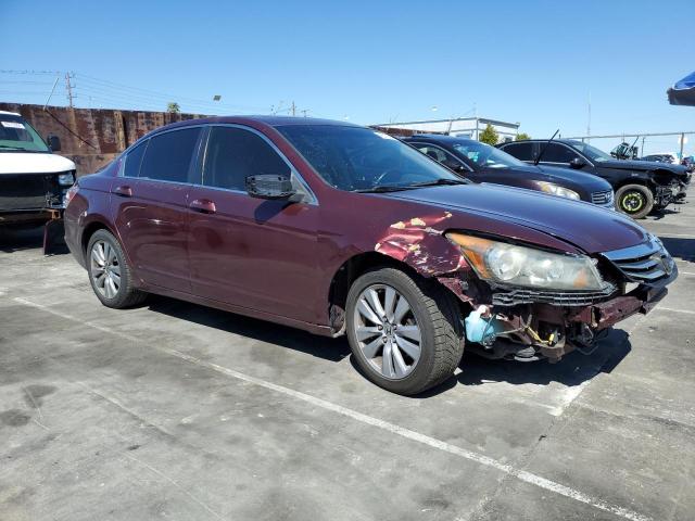 1HGCP2F85BA095560 - 2011 HONDA ACCORD EXL BURGUNDY photo 4