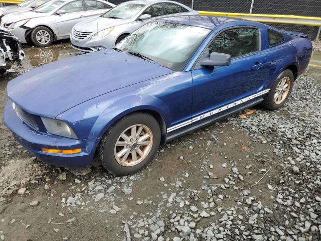 1ZVHT80N185113259 - 2008 FORD MUSTANG BLUE photo 1