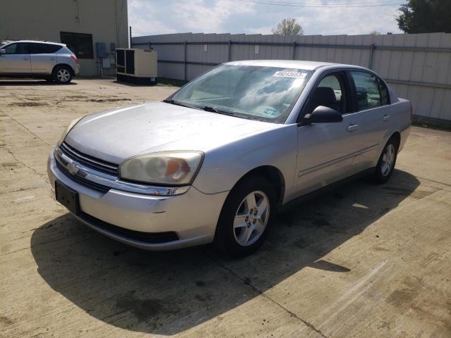 1G1ZT54895F149094 - 2005 CHEVROLET MALIBU LIM LS SILVER photo 1